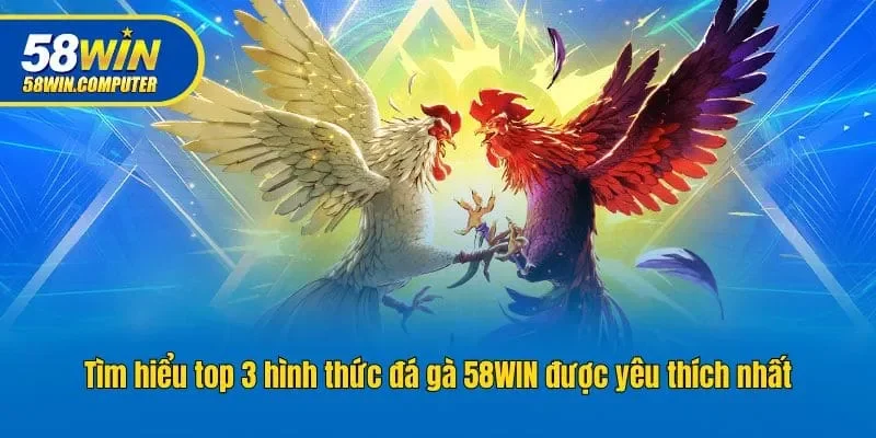 Tìm hiểu top 3 hình thức đá gà 58win được yêu thích nhất